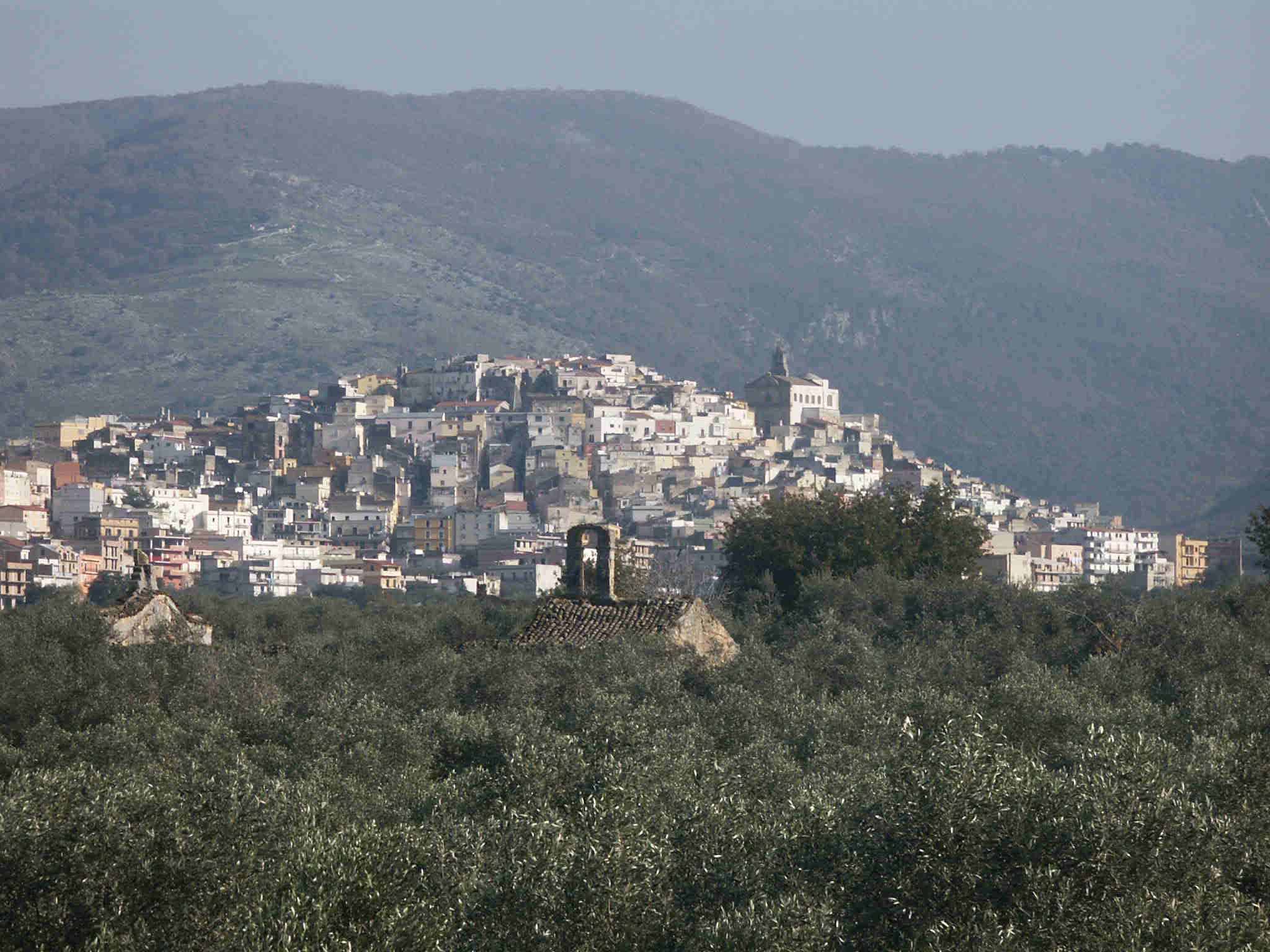 Panorama Carpino